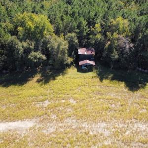 Photo #15 of SOLD property in Off Hamps Road, Nichols, SC 150.0 acres