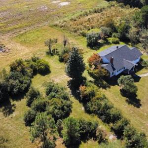 Photo #17 of SOLD property in Off Hamps Road, Nichols, SC 150.0 acres