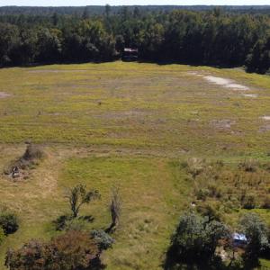 Photo #18 of SOLD property in Off Hamps Road, Nichols, SC 150.0 acres