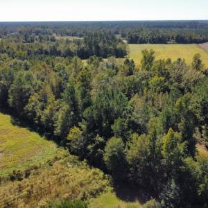 Photo #19 of SOLD property in Off Hamps Road, Nichols, SC 150.0 acres
