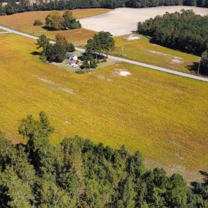 Photo #21 of SOLD property in Off Hamps Road, Nichols, SC 150.0 acres