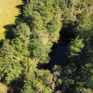 Photo #25 of SOLD property in Off Hamps Road, Nichols, SC 150.0 acres