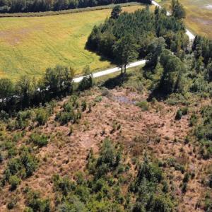 Photo #26 of SOLD property in Off Hamps Road, Nichols, SC 150.0 acres