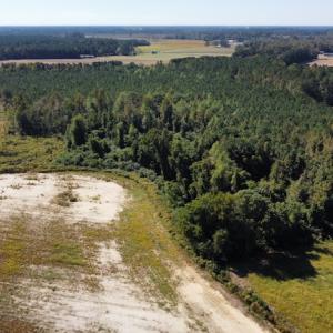 Photo #27 of SOLD property in Off Hamps Road, Nichols, SC 150.0 acres