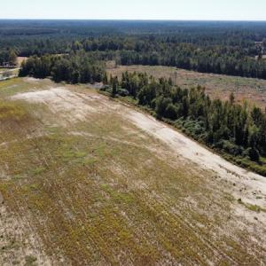 Photo #28 of SOLD property in Off Hamps Road, Nichols, SC 150.0 acres
