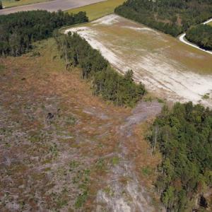Photo #30 of SOLD property in Off Hamps Road, Nichols, SC 150.0 acres