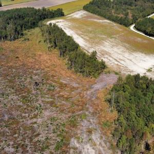 Photo #32 of SOLD property in Off Hamps Road, Nichols, SC 150.0 acres