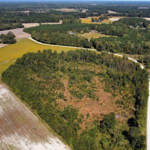Photo #34 of SOLD property in Off Hamps Road, Nichols, SC 150.0 acres