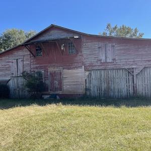Photo #36 of SOLD property in Off Hamps Road, Nichols, SC 150.0 acres