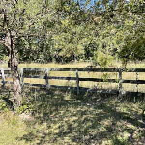 Photo #37 of SOLD property in Off Hamps Road, Nichols, SC 150.0 acres