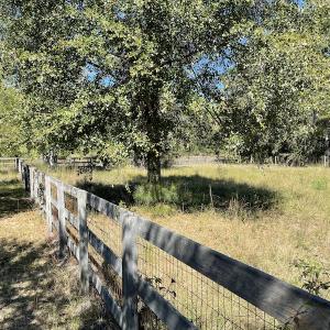 Photo #38 of SOLD property in Off Hamps Road, Nichols, SC 150.0 acres
