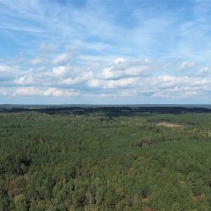 Photo #10 of SOLD property in Off Goldston Carbonton Road , Goldston, NC 11.8 acres