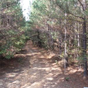 Photo #11 of SOLD property in Off Goldston Carbonton Road , Goldston, NC 11.8 acres