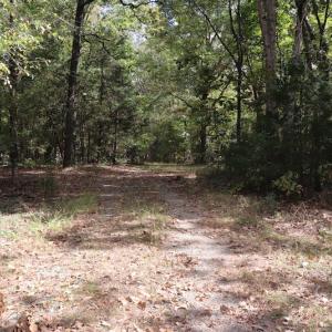 Photo #13 of SOLD property in Off Goldston Carbonton Road , Goldston, NC 11.8 acres