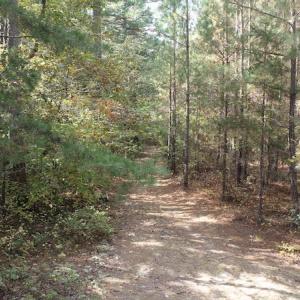 Photo #14 of SOLD property in Off Goldston Carbonton Road , Goldston, NC 11.8 acres