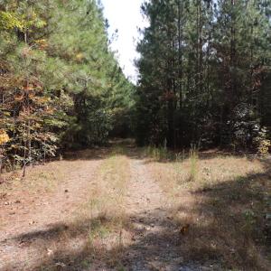 Photo #15 of SOLD property in Off Goldston Carbonton Road , Goldston, NC 11.8 acres