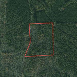 Photo #47 of SOLD property in Off Goldston Carbonton Road , Goldston, NC 11.8 acres
