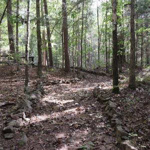 Photo #19 of SOLD property in Off Goldston Carbonton Road , Goldston, NC 11.8 acres