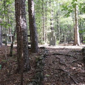 Photo #20 of SOLD property in Off Goldston Carbonton Road , Goldston, NC 11.8 acres