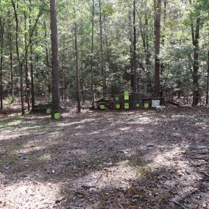 Photo #21 of SOLD property in Off Goldston Carbonton Road , Goldston, NC 11.8 acres