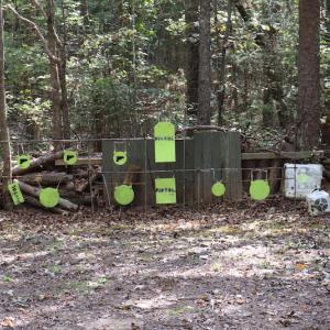 Photo #22 of SOLD property in Off Goldston Carbonton Road , Goldston, NC 11.8 acres