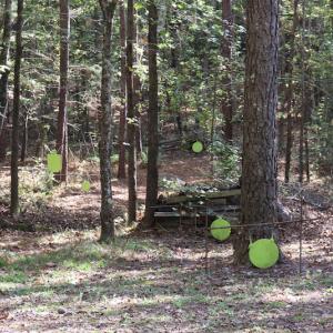 Photo #23 of SOLD property in Off Goldston Carbonton Road , Goldston, NC 11.8 acres