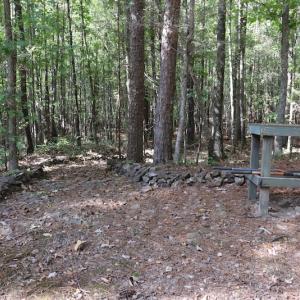 Photo #28 of SOLD property in Off Goldston Carbonton Road , Goldston, NC 11.8 acres