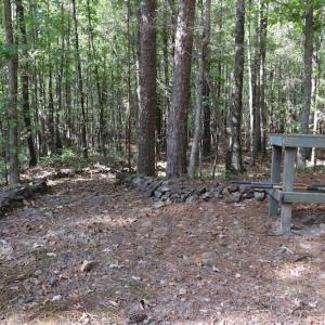 Photo #28 of SOLD property in Off Goldston Carbonton Road , Goldston, NC 11.8 acres