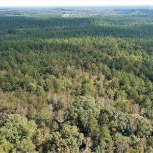 Photo #2 of SOLD property in Off Goldston Carbonton Road , Goldston, NC 11.8 acres