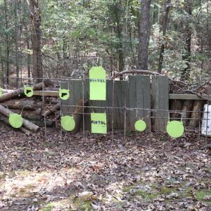 Photo #29 of SOLD property in Off Goldston Carbonton Road , Goldston, NC 11.8 acres