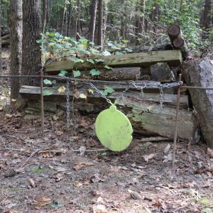 Photo #31 of SOLD property in Off Goldston Carbonton Road , Goldston, NC 11.8 acres