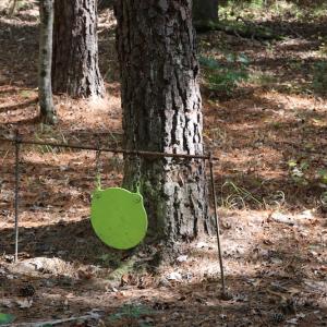 Photo #32 of SOLD property in Off Goldston Carbonton Road , Goldston, NC 11.8 acres