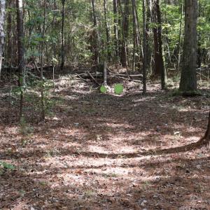 Photo #33 of SOLD property in Off Goldston Carbonton Road , Goldston, NC 11.8 acres