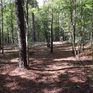 Photo #34 of SOLD property in Off Goldston Carbonton Road , Goldston, NC 11.8 acres
