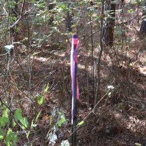 Photo #36 of SOLD property in Off Goldston Carbonton Road , Goldston, NC 11.8 acres