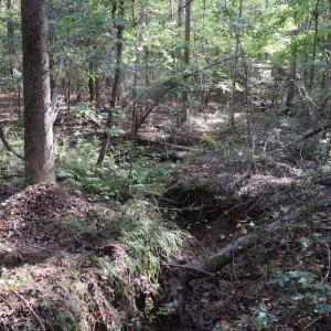 Photo #38 of SOLD property in Off Goldston Carbonton Road , Goldston, NC 11.8 acres