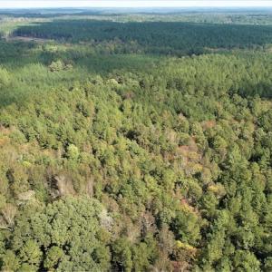 Photo #3 of SOLD property in Off Goldston Carbonton Road , Goldston, NC 11.8 acres