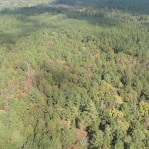 Photo #4 of SOLD property in Off Goldston Carbonton Road , Goldston, NC 11.8 acres