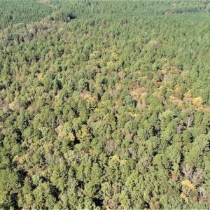 Photo #6 of SOLD property in Off Goldston Carbonton Road , Goldston, NC 11.8 acres