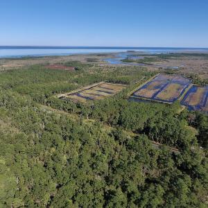 Photo #9 of SOLD property in Off Fulford Point Road , Lowland, NC 21.0 acres