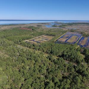Photo #9 of SOLD property in Off Fulford Point Road , Lowland, NC 21.0 acres