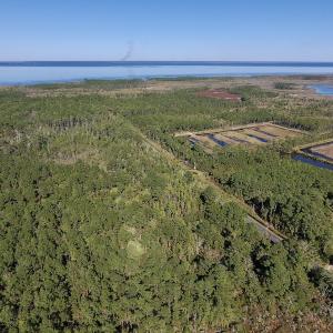 Photo #10 of SOLD property in Off Fulford Point Road , Lowland, NC 21.0 acres