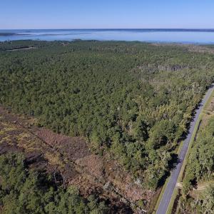Photo #11 of SOLD property in Off Fulford Point Road , Lowland, NC 21.0 acres