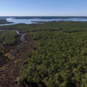 Photo #14 of SOLD property in Off Fulford Point Road , Lowland, NC 21.0 acres