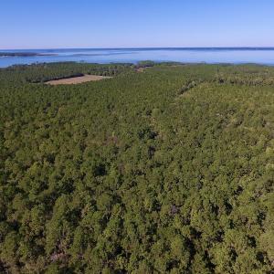 Photo #15 of SOLD property in Off Fulford Point Road , Lowland, NC 21.0 acres