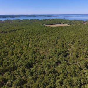 Photo #16 of SOLD property in Off Fulford Point Road , Lowland, NC 21.0 acres