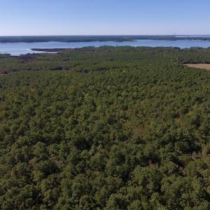 Photo #17 of SOLD property in Off Fulford Point Road , Lowland, NC 21.0 acres