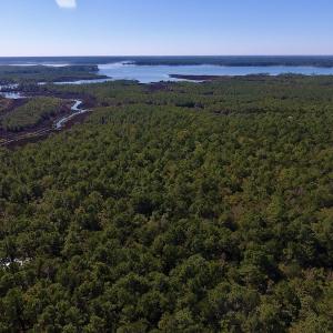 Photo #18 of SOLD property in Off Fulford Point Road , Lowland, NC 21.0 acres