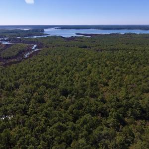 Photo #18 of SOLD property in Off Fulford Point Road , Lowland, NC 21.0 acres