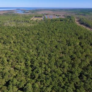 Photo #20 of SOLD property in Off Fulford Point Road , Lowland, NC 21.0 acres